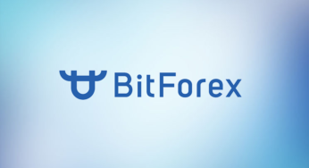 Обзор криптовалютной биржи BitForex: условия торговли и отзывы клиентов