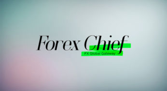 Правда о брокере ForexChief: детальный обзор компании и отзывы трейдеров