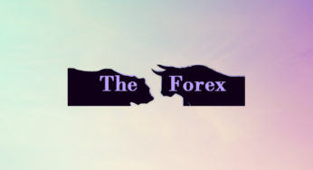 Брокерская компания The Forex Cash: подробный обзор и отзывы трейдеров
