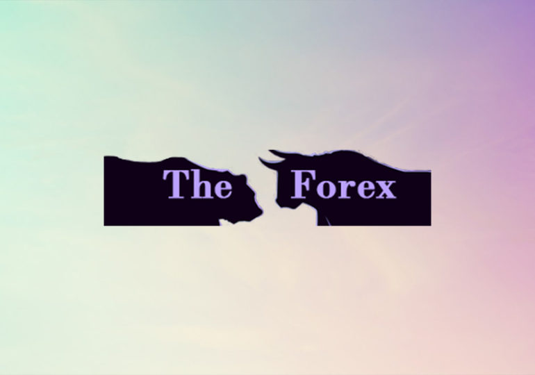 Брокерская компания The Forex Cash: подробный обзор и отзывы трейдеров